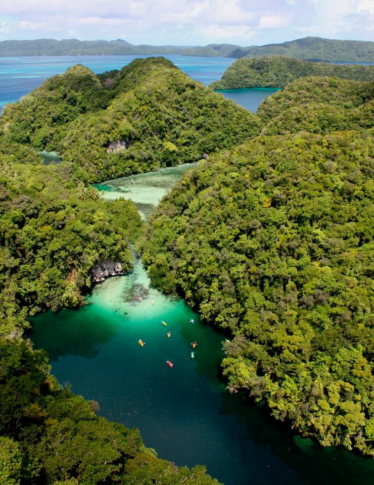 palau dive trip